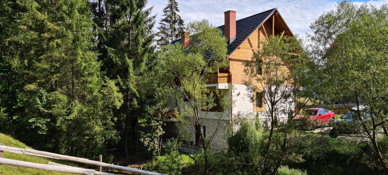 Arnica Montana Hotel Arieşeni Екстериор снимка