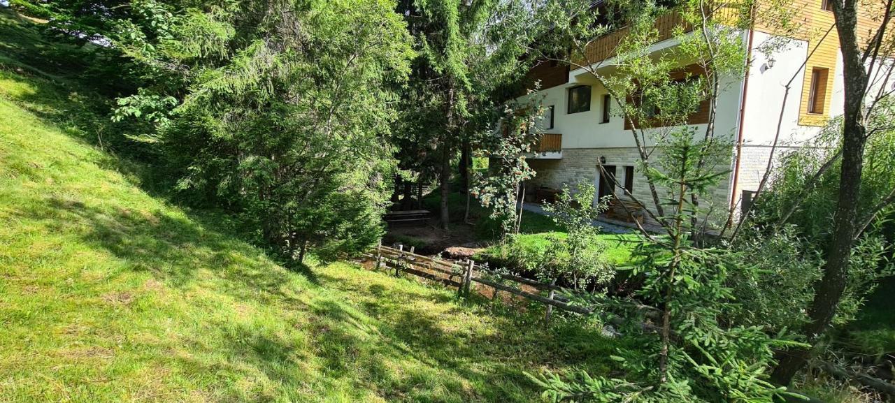 Arnica Montana Hotel Arieşeni Екстериор снимка