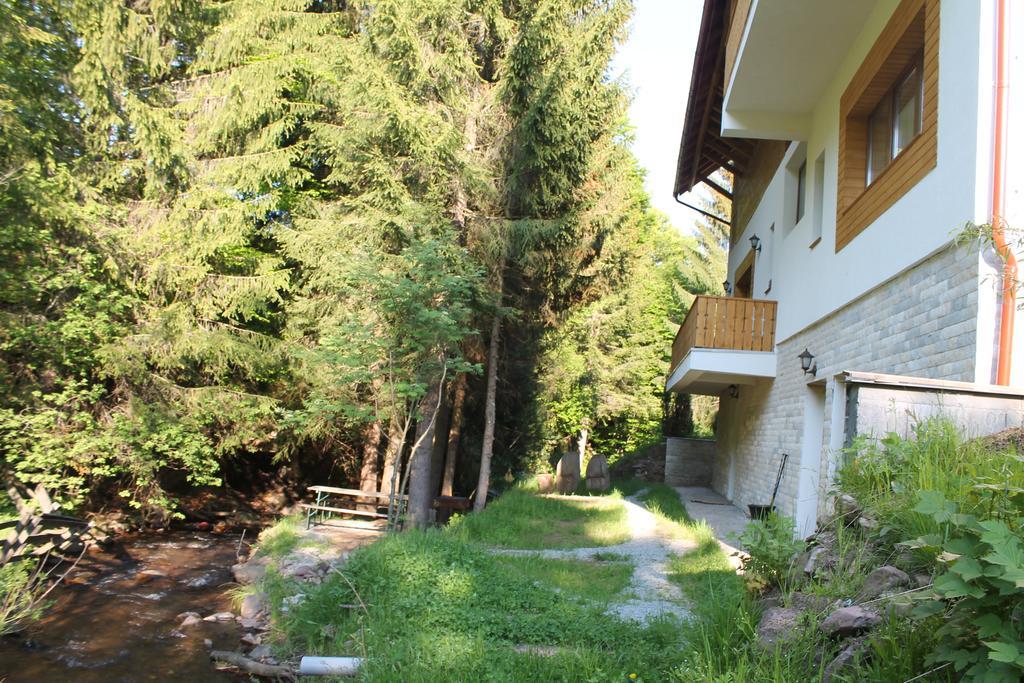Arnica Montana Hotel Arieşeni Екстериор снимка