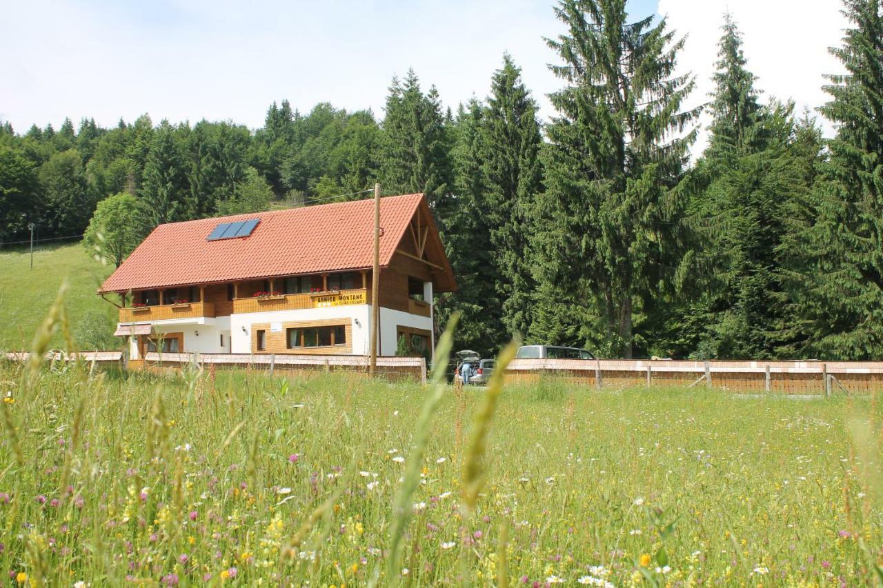 Arnica Montana Hotel Arieşeni Екстериор снимка