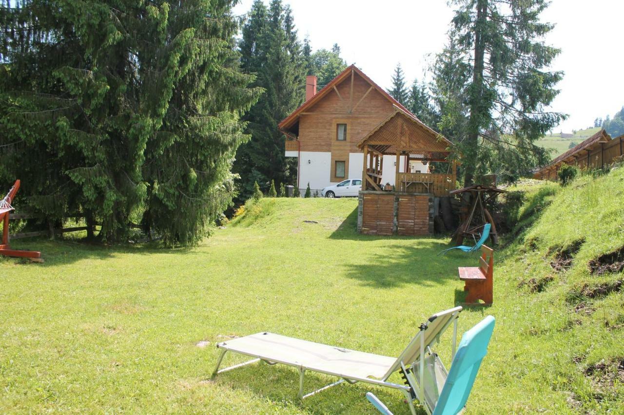 Arnica Montana Hotel Arieşeni Екстериор снимка