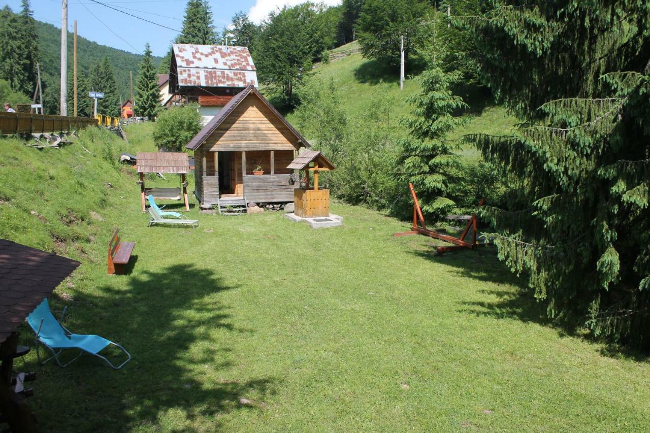 Arnica Montana Hotel Arieşeni Екстериор снимка