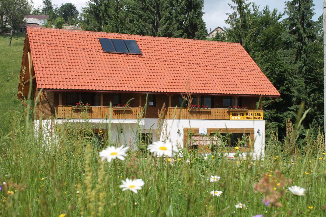 Arnica Montana Hotel Arieşeni Екстериор снимка