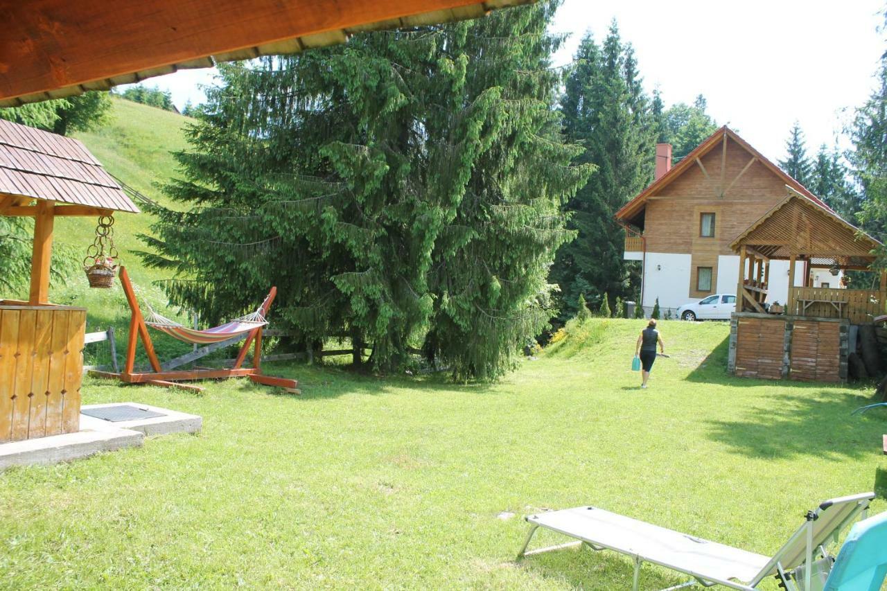 Arnica Montana Hotel Arieşeni Екстериор снимка