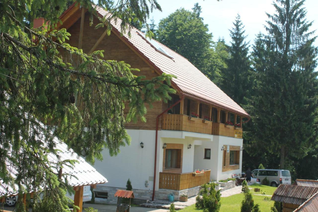 Arnica Montana Hotel Arieşeni Екстериор снимка