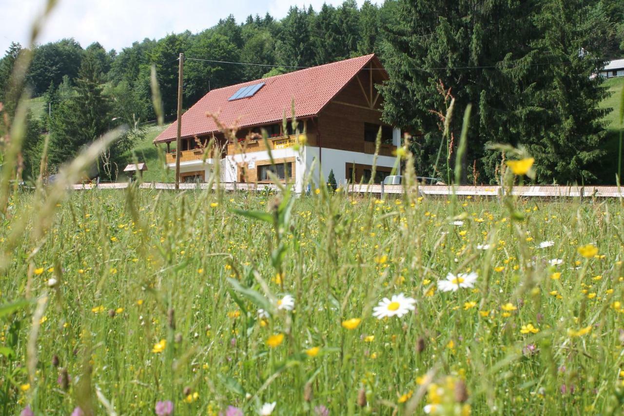 Arnica Montana Hotel Arieşeni Екстериор снимка