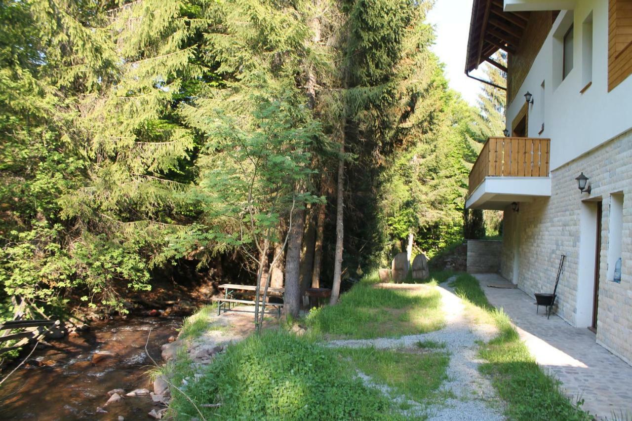Arnica Montana Hotel Arieşeni Екстериор снимка