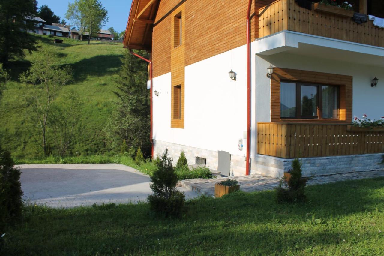 Arnica Montana Hotel Arieşeni Екстериор снимка