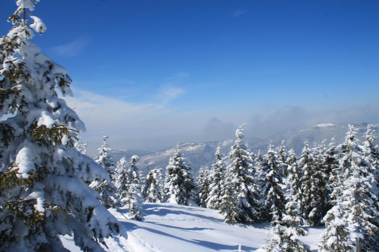 Arnica Montana Hotel Arieşeni Екстериор снимка