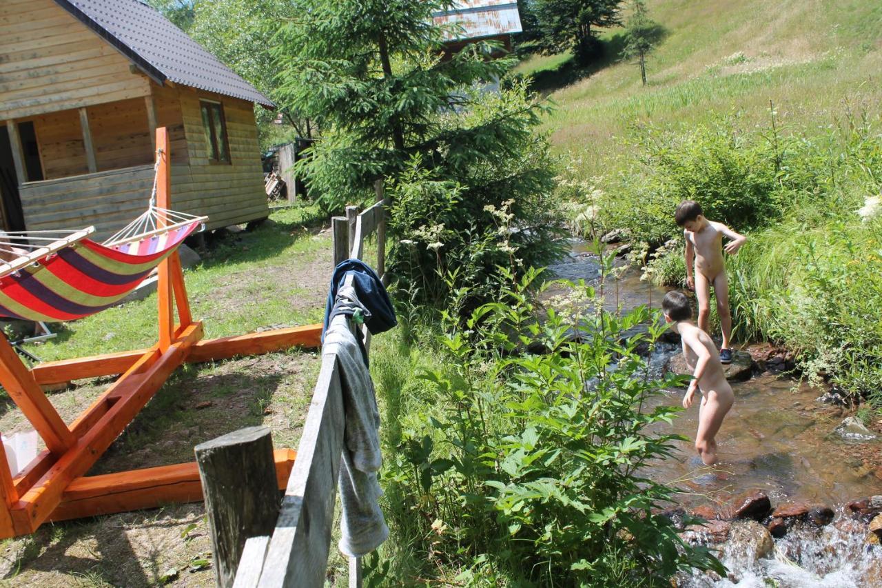 Arnica Montana Hotel Arieşeni Екстериор снимка