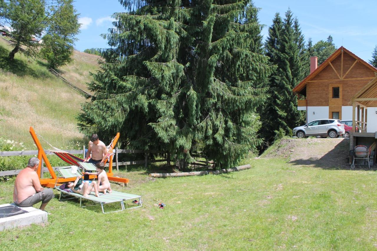 Arnica Montana Hotel Arieşeni Екстериор снимка