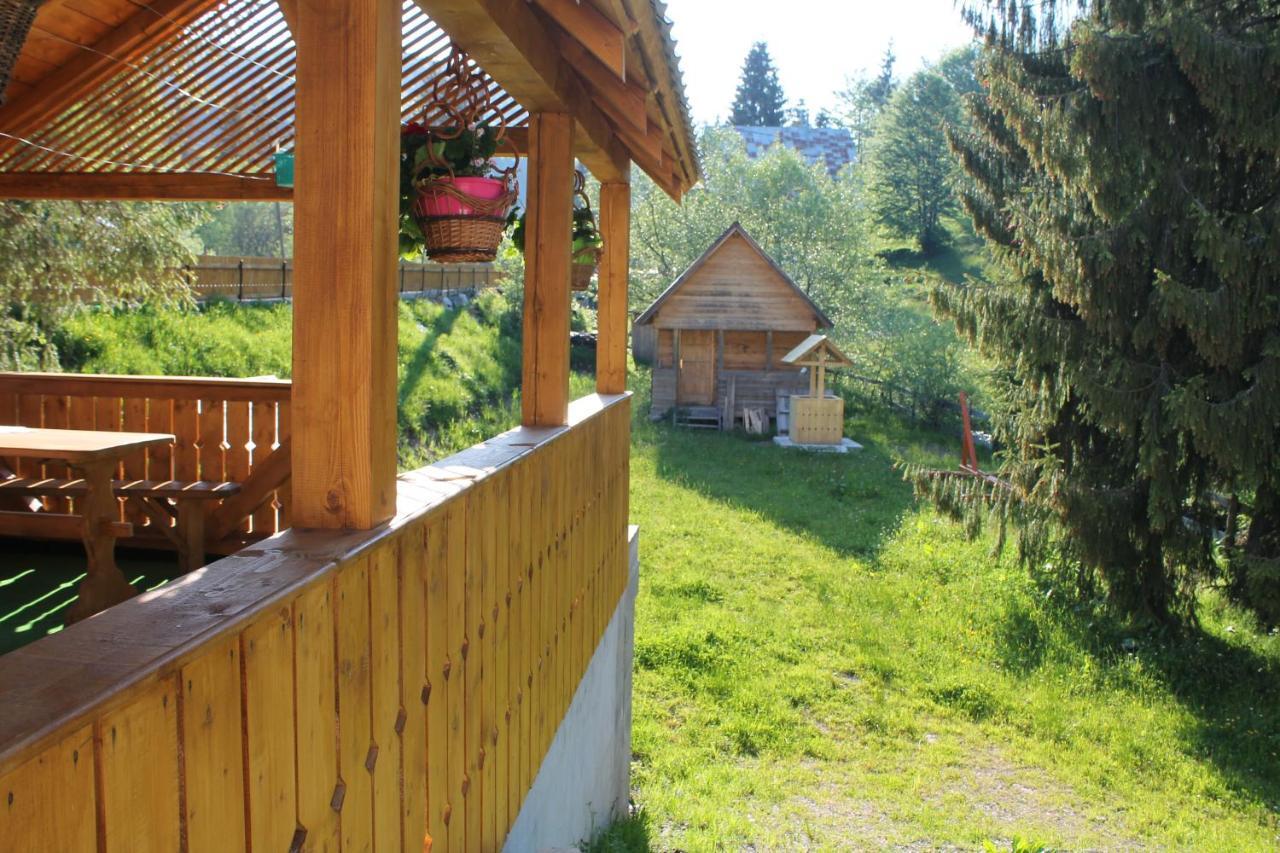 Arnica Montana Hotel Arieşeni Екстериор снимка